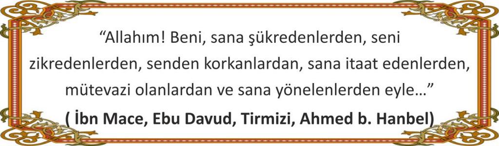 HADİS-İ ŞERİFLERLE HAFTANIN DUASI O NUN (sav) AHLAKI KUR AN DI Abdullah ibn Abbas(Allah Onlardan razı olsun) den bildirildiğine göre: Bir gün Peygamber (sallallahu aleyhi vesellem) in bindiği