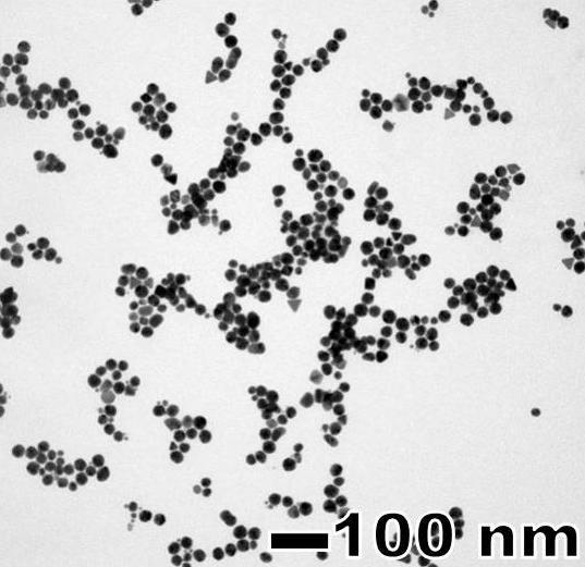 58 Doğal ve toksik olmayan cynarin maddesinin oldukça pahalı olması ve sudaki çözünürlüğünün çok zor olması nedeniyle bu çalışmada cynarin ile sadece Au nanoparçacıkları sentezine yer verilmiştir.