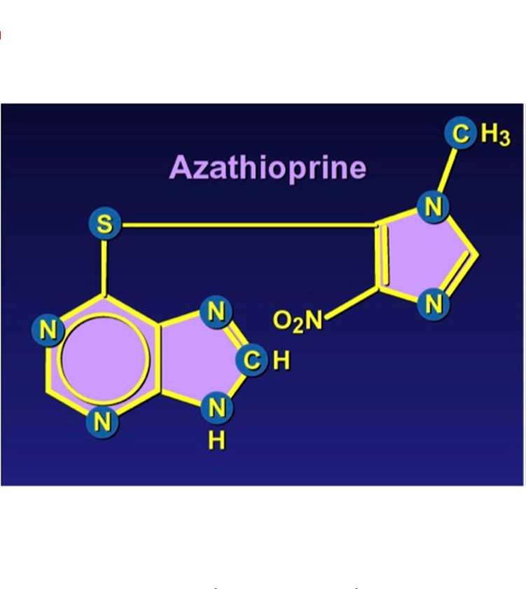 Antimetabolit Biyoyararlanım %15 AZA, %40 6-MP T1/2: 10 dak-2 sa 3 saatte kanda belirlenemez düzeye iner.