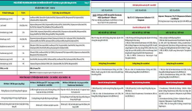 AYP Protokol