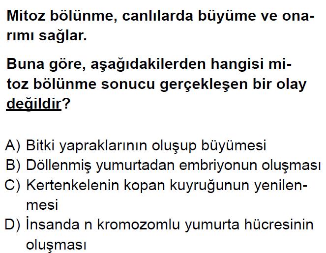 Soru-6-2013 SBS ÇÖZÜM; Soruda amip ve bira mayasının üreme şekilleri verilmiş ve her ikisi için de doğru olan istenilmektedir. Her iki canlıda eşeysiz üremektedir.