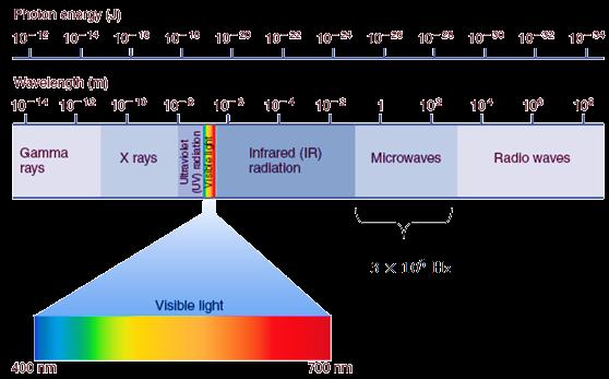 Şema 1.8. 4-Feniltiyosemikarbazid ile benzoil klorürün reaksiyonu ile 5-merkapto-3,4- difenil-1,2,4-triazol sentezi 1.1. Mikrodalga ve Mikrodalga Destekli Organik Sentez Mikrodalga, elektromanyetik spektrumda infrared ışını ile radyo dalgaları arasında ki bölgede yer alır.