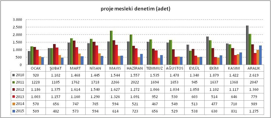 2010-2015 yılları arasında gerçekleştirilen proje mesleki denetiminin adet olarak aylık dağılımı Grafik 5 te