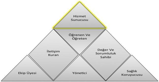 Şekil 1- TUKMOS un Yeterlilik Üçgeni (Yedi temel yetkinlik alanı) Her bir temel yetkinlik alanı, uzmanın ayrı bir rolünü temsil eder (Şekil 1).