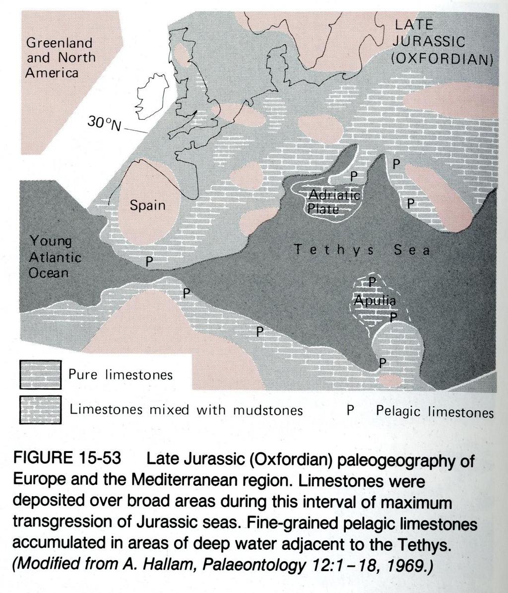 Geç Jura (Oksfordiyen) Avrupa ve Akdeniz Bölgelerinde Paleocoğrafya.