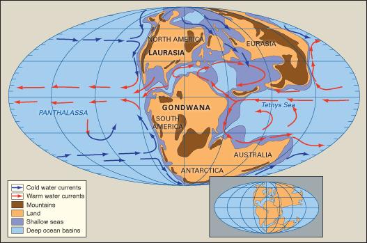 Geç Jura Dönemi nde Dünya Super Kıta Pangea Triyas ta parçalanmaya başlamasına rağmen, kıtalar Jura nın başlangıcında hala birbirine çok yakındı.