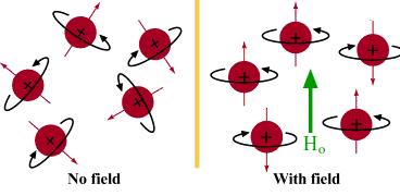 Kendi ekseni etrafında dönen yüklü bir parçacık, dairesel bir elektrik alanı oluşturur ve bu akım bir manyetik alan yaratır.