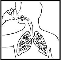 3- Derin bir nefes vererek akciğerlerinizi boşaltınız. Ağızlığı ağzınıza iyice yerleştirip dudaklarınızı sıkıca kapatınız.