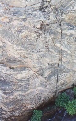 Metamorfik kayalar, başka bir tür kayadan "dönüşmüş" olan kayalar bulunmaktadır. Bu kayalar magmatik veya sedimanter olabilir.