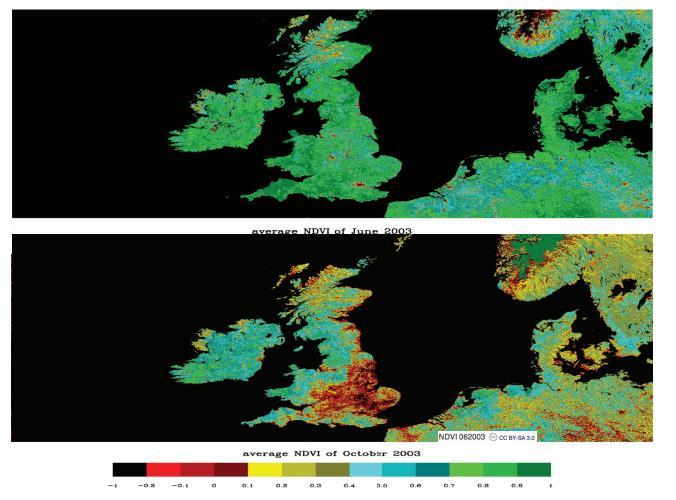 NDVI