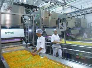 meyvelerin yanı sıra, salata karışımları gibi taze ürünlerde ürün kalitesi ve güvenliğini arttırmaya yönelik makineler üretmektedir.