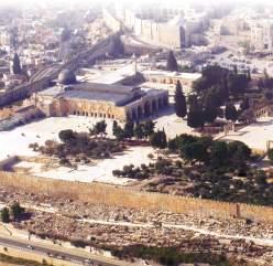 MESCİDLER Mescid-i Aksa* Mescid-i Aksa, Kudüs de eski şehir diye adlandırılan tarihi bölgenin güneydoğusunda yer alır ve eski şehrin altıda biri kadar bir alanı kaplamaktadır.
