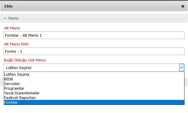 Alt menüsü olsun ya da olmasın eklenen menülere içerik girmek için Özel Menü başlığı altından ilgili menü tıklanarak içerik girilir.