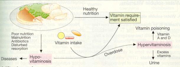 Vitaminler sağlıklı beslenme için küçük miktarlarda alınmaları zorunlu olan,