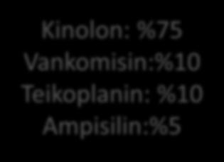Kinolon: %25 Amikasin:%10 Karbapenem: %4 Gr (+) etkenlerde
