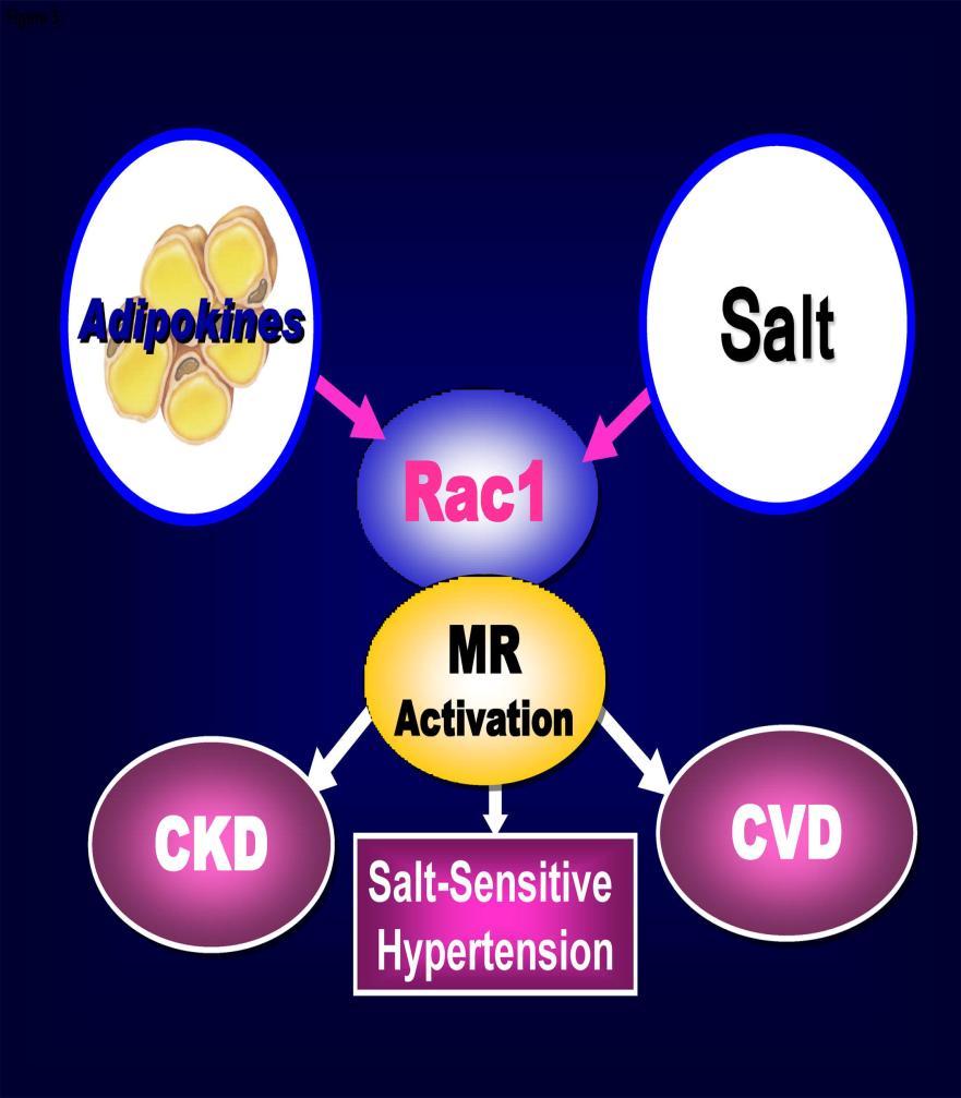 Hypertension 2010;55:813-818.