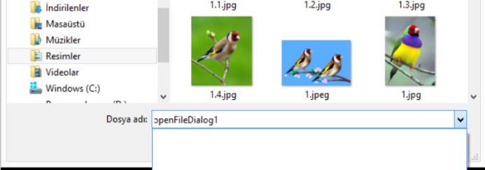*"; Eğer resim yükleme çalışırken openfiledalog açıldıktan resim seçilmeyip "iptal" tuşuna basılırsa, resimyolu değişkeni "null" olacağı için program hata verir.
