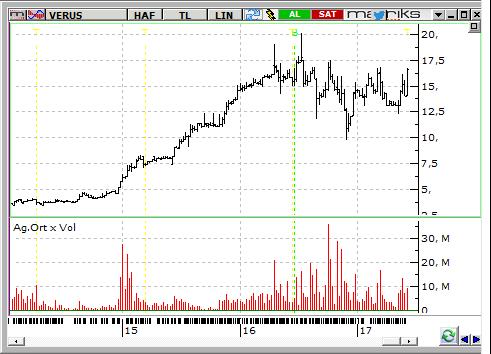 Verusa Holding in doğrudan ve dolaylı olarak iştirak ettiği 12 şirket bulunmaktadır.