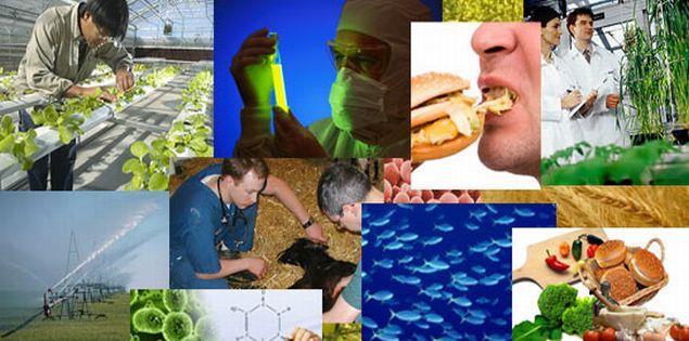 SC2: Gıda Güvenliği, Sürdürülebilir Tarım, Deniz Araştırmaları ve Biyo-ekonomi Alanı Alanın Amacı: Güvenli ve yüksek kalitede gıda ve biyolojik ürünlerin yeterli miktarda tedarik