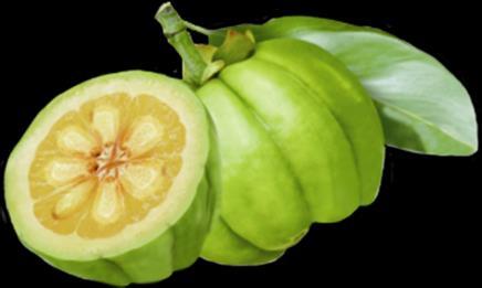 Garcinia Cambogia Doğu Asya kökenli bir meyve
