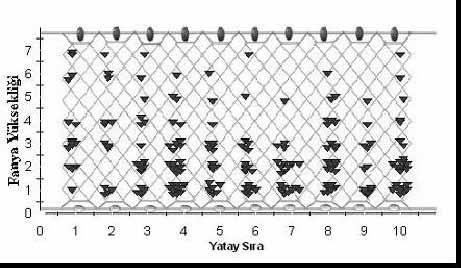 Çizelge 4. Barbunya Balığının Fanya Yüksekliklerindeki (adet) Fanya No 1 2 3 4 5 6 7 41 70 56 21 11 10 6 Ortalama 1.78±0.16 a 3.04±0.28 b 2.43±0.26 ab 0.91±0.15 c 0.47±0.12 c 0.43±0.11 c 0.26±0.