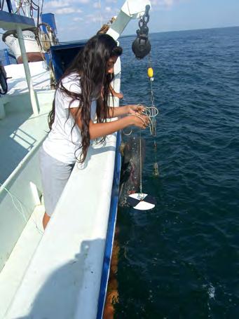 Marmara Denizi nin Değişen Oşinografik Şartları projesi çerçevesince, hem geçmişte hem de günümüzde Oşinografik, Bentik veya Plankton örnekleme istasyonlarında ölçümlenen Secchi-Disc derinlikleri,
