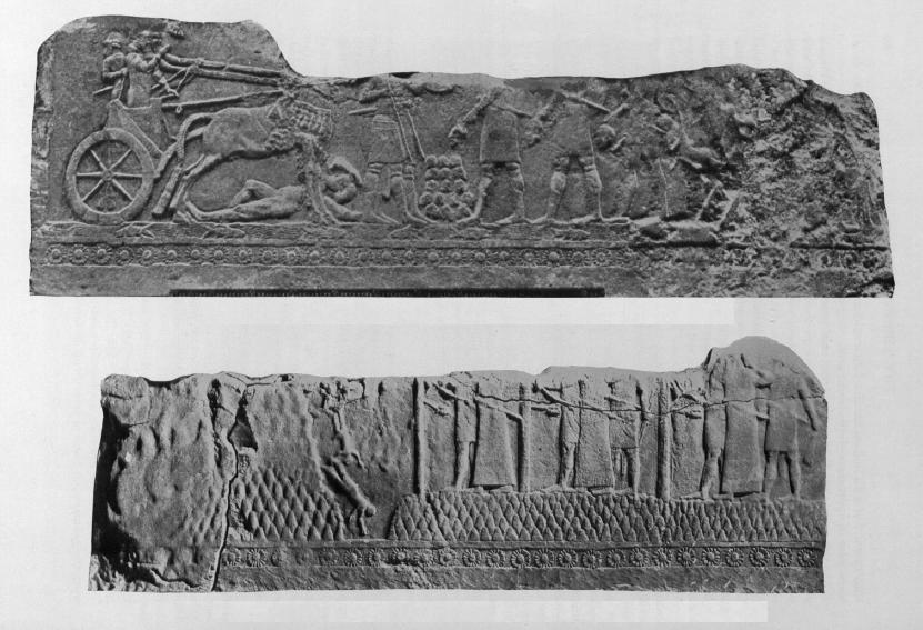 144 Resim 16: Sargon un sarayının taht altlığının yan yüzlerinden birinde kral, savaş arabası üzerinde savaş meydanında gösteren