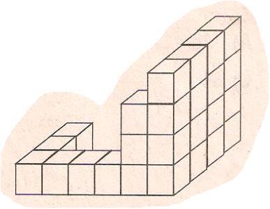 Hangisi geometrik cisim değildir?