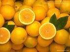 11. Bir manav 4 tane limonu 100 Kr tan satıyor. Her bir kasada 80 limon olduğuna göre bu satıştan eline kaç Kr geçer? A) 700 B) 800 C) 1000 D) 2000 12.