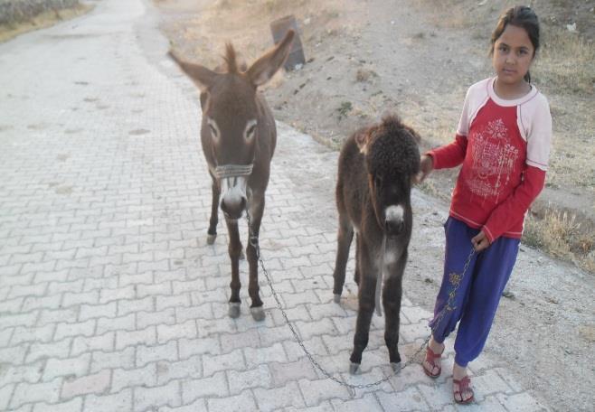 MATEMATİK 29 DOĞAL SAYILAR Uzunluk Ölçüleri 4 Dekametre: metrenin 10 katına dekametre denir. kısaca dam sembolüyle gösterilir. Metre verilip dekametre isteniyorsa 10 ile çarpılır. 5.