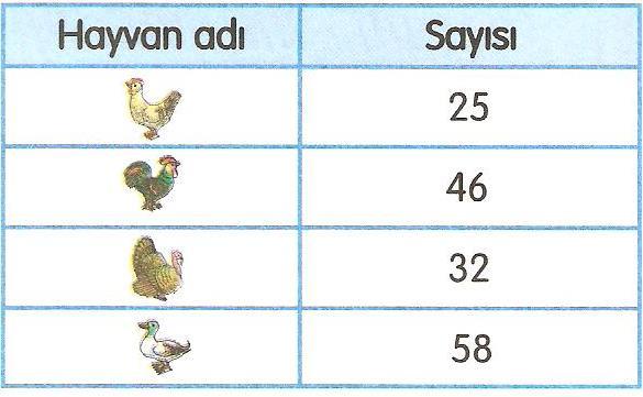 13. Kümesteki horoz, hindi ve ördeklerin sayıları toplamı, tavukların sayısından kaç fazladır? A) 111 B) 136 C) 71 D) 87 Yukarıdaki sıklık tablosunda bir kümesteki hayvanların sayıları gösterilmiştir.
