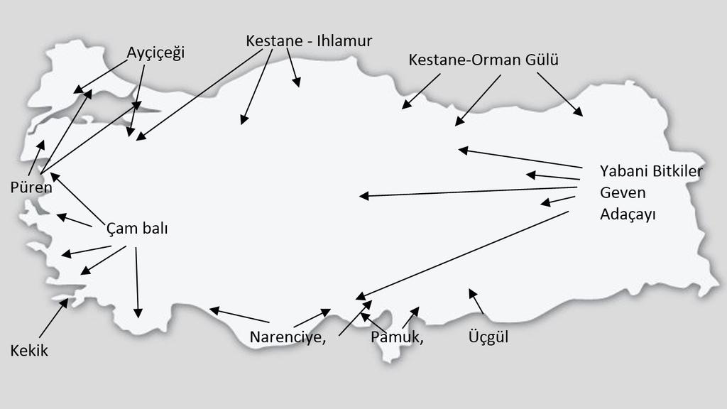 2 TÜRKİYE DE ARICILIK VE ARI ÜRÜNLERİ SEKTÖRÜ Türkiye oldukça zengin bitki çeşitliliği ile yılın her mevsiminde arıcılık için uygun lokasyonların bulunabileceği iklim çeşitliliğiyle arıcılık için