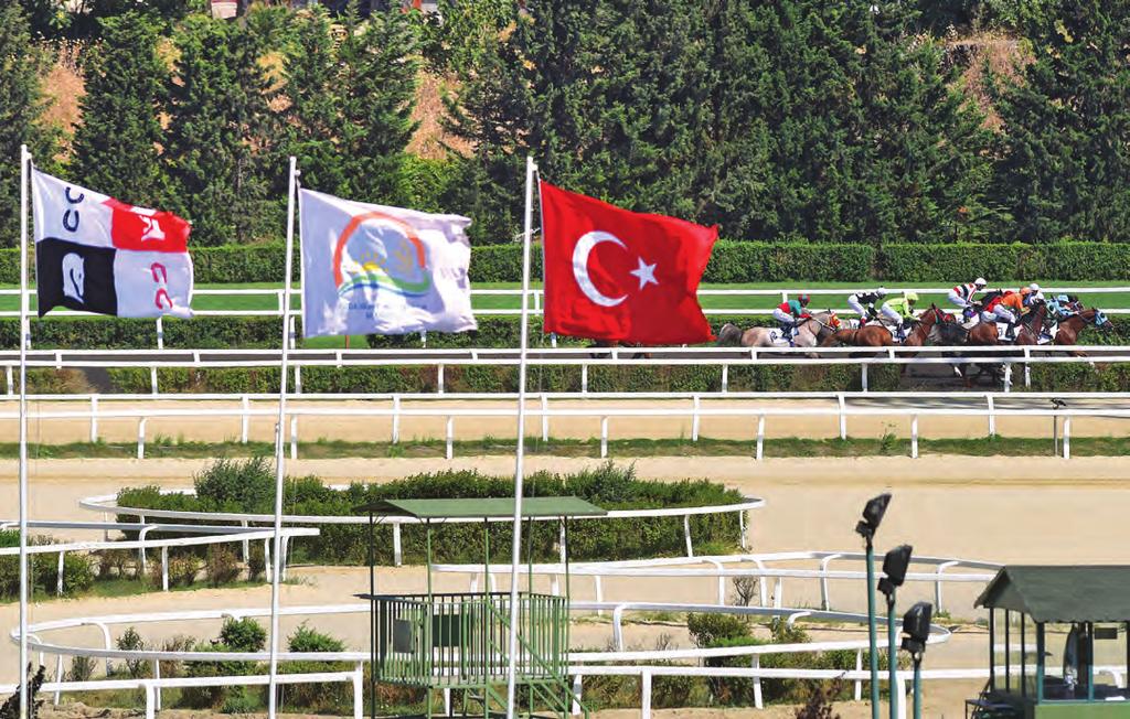 Bu mücadele için Ankara daki Yüksek Komiserler Kurulu G1 den gelen Yılmabaşar iki koşudur kazanamıyordu.
