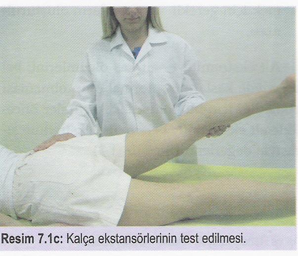 Kalça ekstansörlerini test ederken