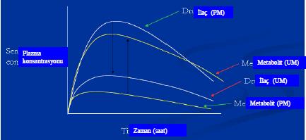 Fenotipe göre; yavaş metabolizör hızlı metabolizör çok hızlı metabolizör Genotip: organizmanın genetik