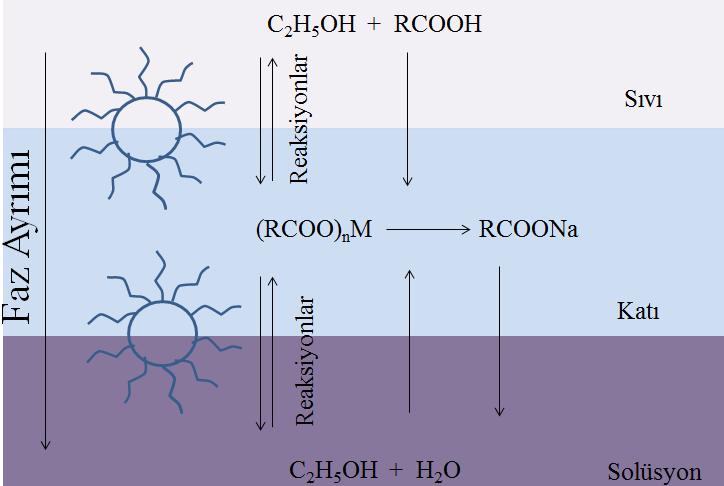 linoik asit ve solüsyon fazında su-etanol karışımını içermektedir. Şekil 2.