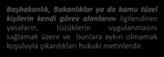 YÖNETMELİK Başbakanlık, Bakanlıklar ya da kamu tüzel kişilerin kendi görev alanlarını ilgilendiren