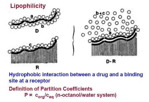 Hidrofobik Parametreler Lipofilik etkinlikler, biyolojik yanıtın ortaya çıkışı sırasında, ilaç etken maddesi bileşiklerin