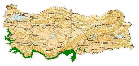 Türkiye'nin ilk ağaçlandırması olduğu belirtilmektedir.
