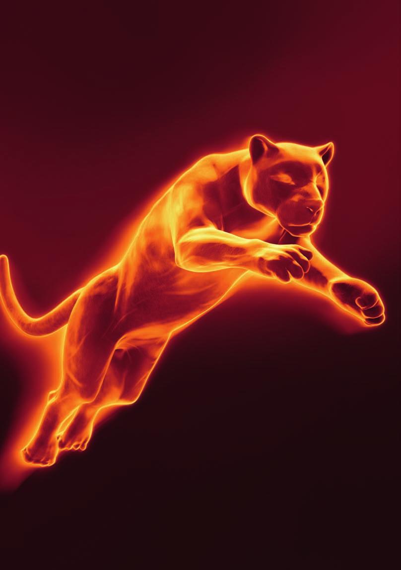 32 MARKALAR ÜRÜNLER SERVİS Protherm in yeni iletişim konsepti Yırtıcı kedinin izinde