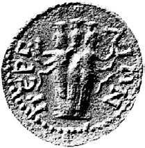 -268); AE Ön yüz : Salonina'nın portre büstü ve çevresinde:  yılan.