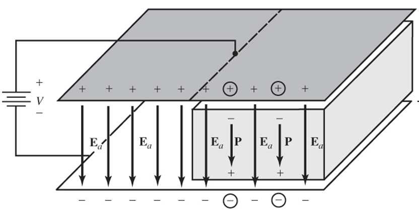 Bir dielektrik malzeme bir elektrik alana konulduğunda malzemede indüklenen polarizasyon elektrik alana bağlıdır. 0 e Bu eşitlik E etkisi ile oluşan tepkiyi (P) ifade eder.