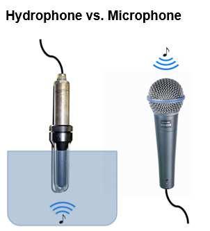 Hidrofon ve Mikrofonlar Hidrofonlar: Su altındaki akustik enerjiyi algılamayı, dinlemeyi sağlayan cihazlardır.