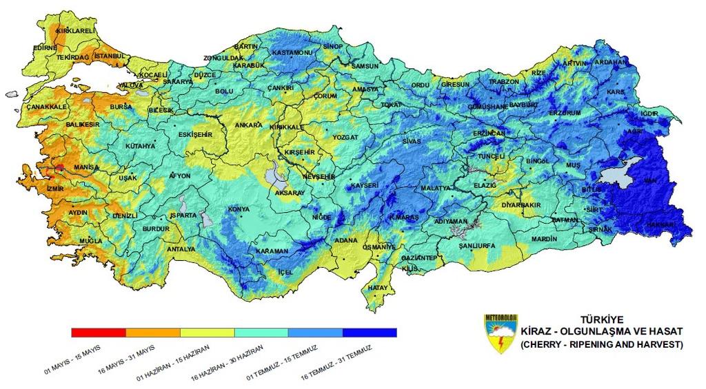 Şekil 36. Türkiye de kiraz olgunlaşma hasat tarihleri dağılımı (Şimşek vd. 2014), (URL 2).