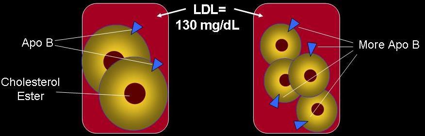 Aterojenik Triad Yüksek sd-ldl Büyük LDL Küçük yoğun LDL Az sayıda partikül Çok sayıda partikül TK LDL-K TG HDL-K Non-HDL-K 198 mg/dl 130 mg/dl 90