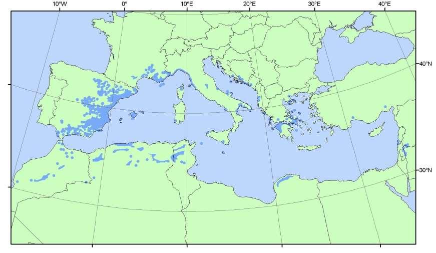 Ülkemizde ancak Toroslar ın eteklerinde, Seyhan - Ceyhan Nehirleri arasında dar bir alanda yayılmaktadır.