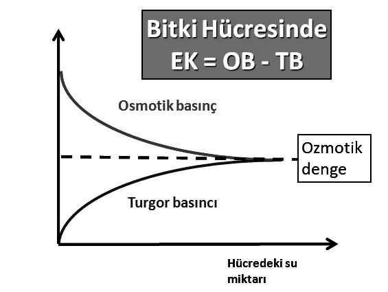 Çözünen ortam tanımlamaları : Aynı yoğunluktaki çözeltilere İZOTONİK; Az yoğun çözeltilere HİPOTONİK; Fazla yoğun çözeltilere HİPERTONİK Ortam denir.