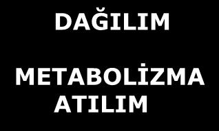 EMİLİM DAĞILIM