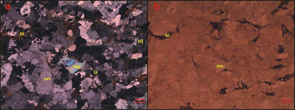 ilişkisi 13 Güneşli Biyotit Graniti mikro fotoğrafı (a: