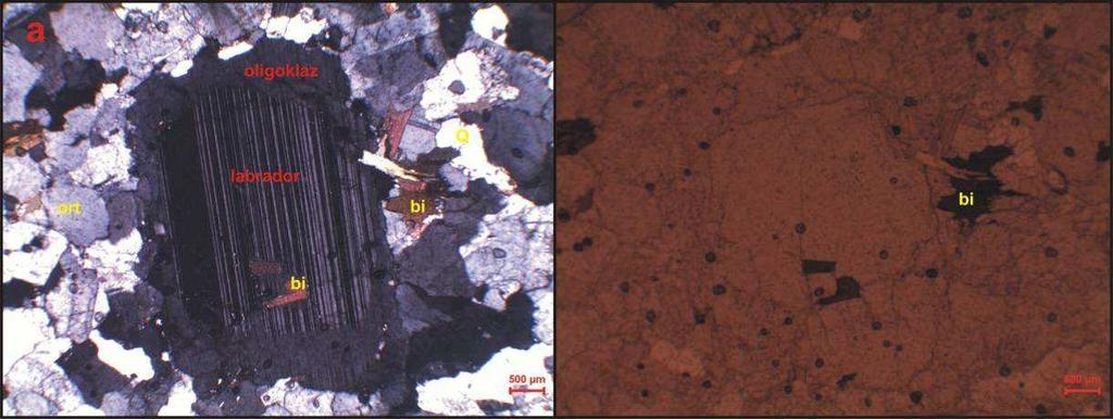 Güneşli Biyotit Granitine ait plajiyoklazda izlenen zonlanma (oligoklaz içerisinde labrador) ve plajiyoklaz içinde kapanım halinde biyotit (poikilitik doku) (a: çift nikol, b: tek nikol) (Q: kuvars,